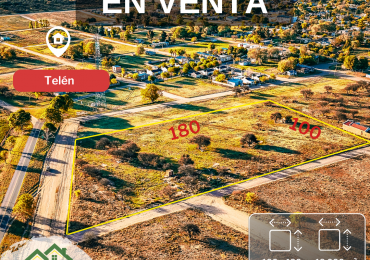 GRAN LOTE EN VENTA - TELEN (L.P)